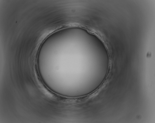 X0000094920049200712131523