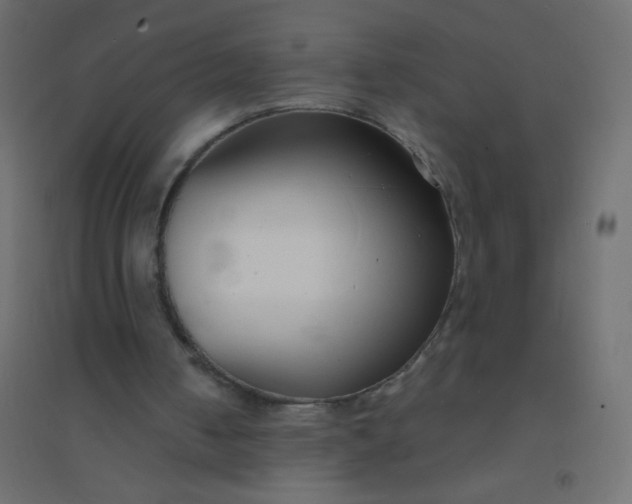 X0000094920050200712131523