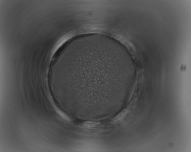 X0000094920051200712131524