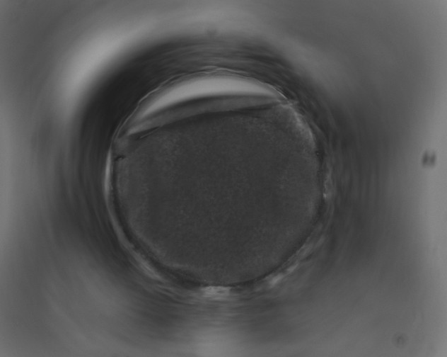 X0000094920052200712131524