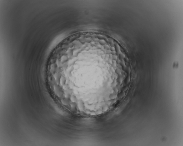 X0000094920053200712131524