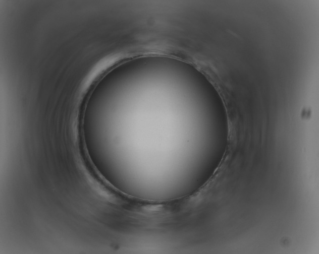 X0000094920054200712131524