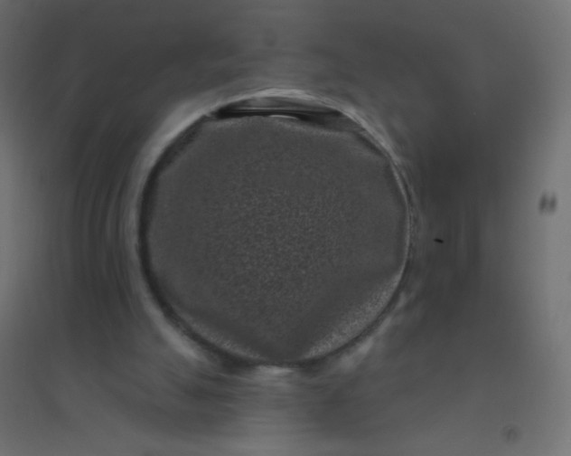 X0000094920055200712131524