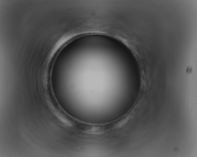 X0000094920056200712131524