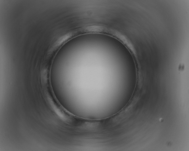 X0000094920057200712131524