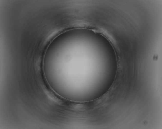 X0000094920058200712131524