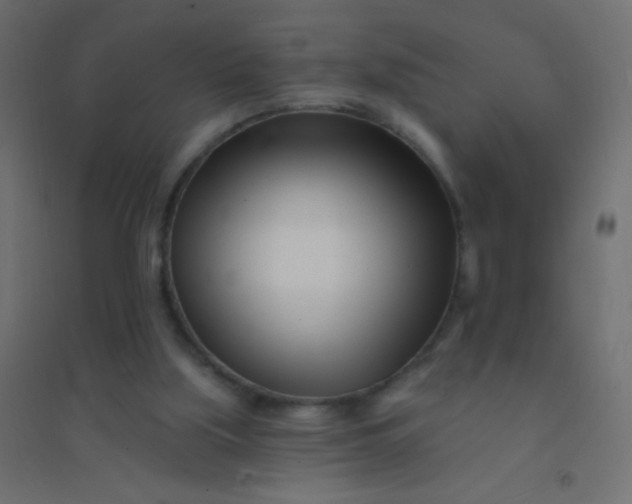 X0000094920059200712131524