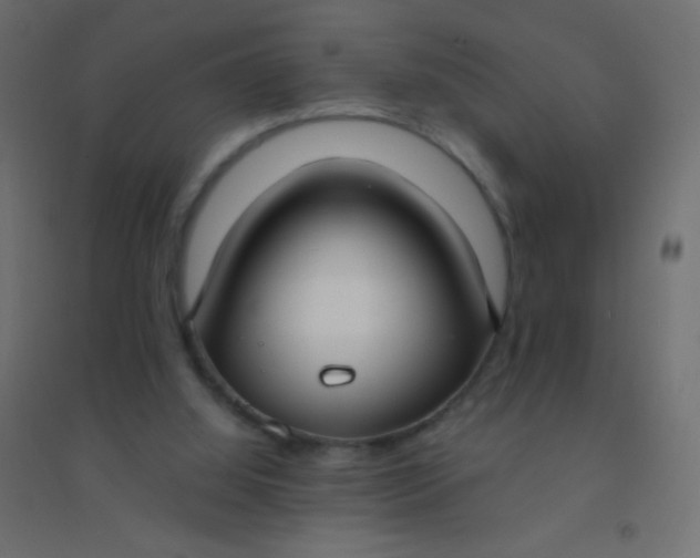 X0000094920060200712131524