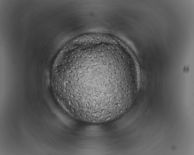 X0000094920061200712131524