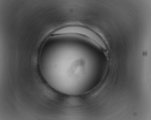 X0000094920063200712131524