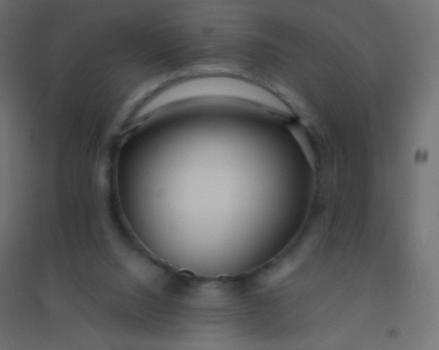 X0000094920064200712131524