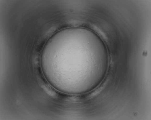 X0000094920065200712131524