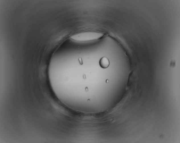 X0000094920066200712131524