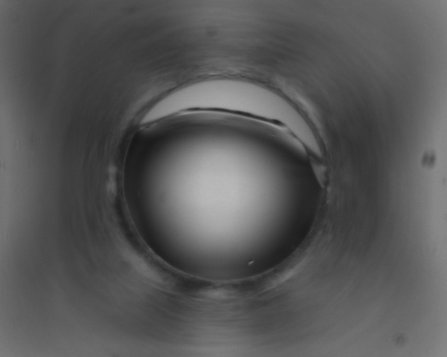 X0000094920067200712131524