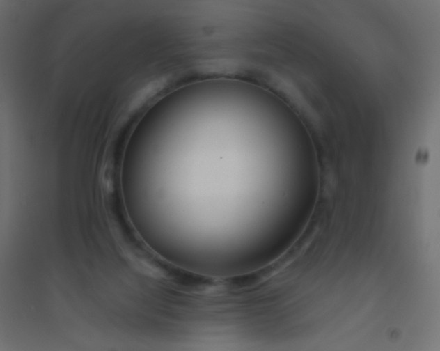 X0000094920068200712131524