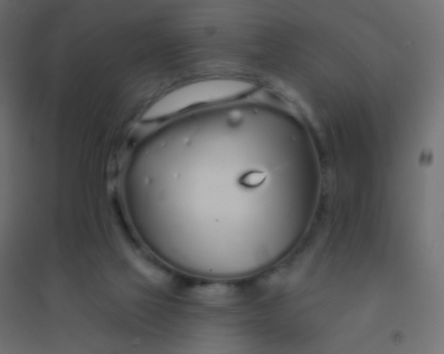 X0000094920069200712131524