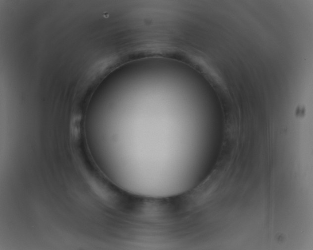 X0000094920070200712131524