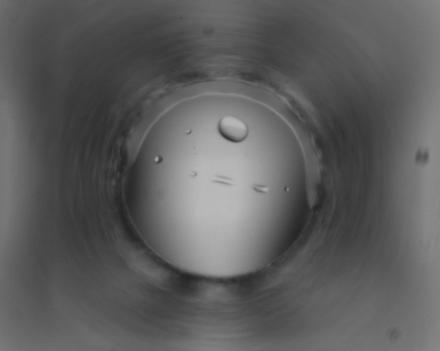 X0000094920073200712131524