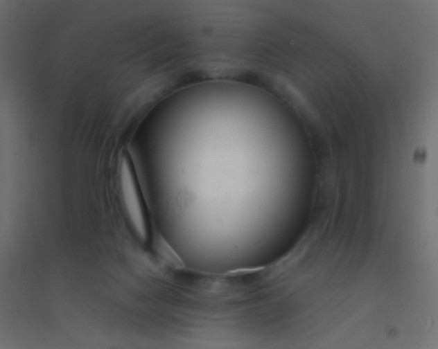 X0000094920074200712131524