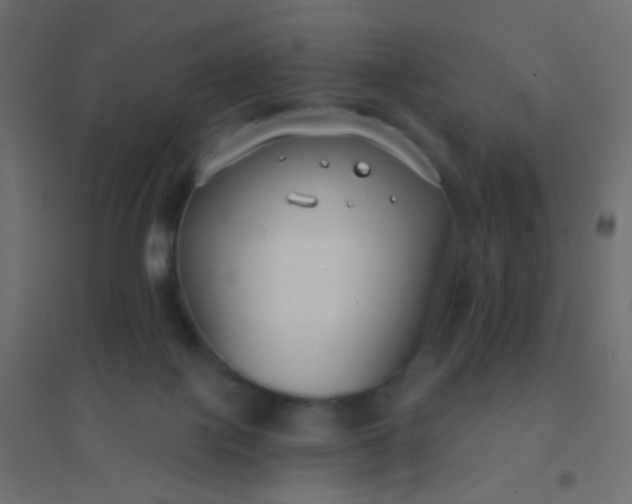 X0000094920075200712131524