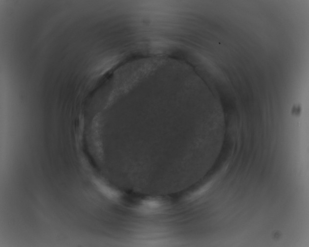 X0000094920076200712131524