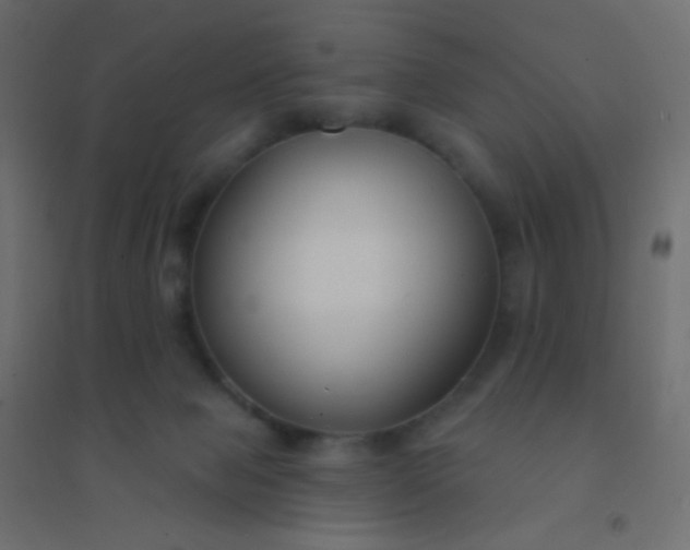 X0000094920077200712131524