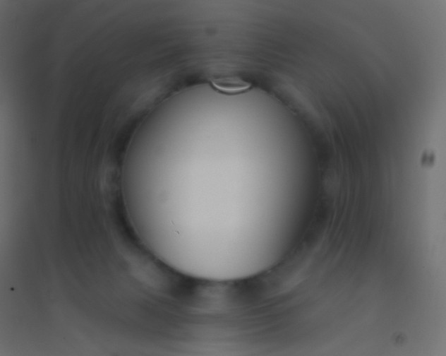 X0000094920079200712131524