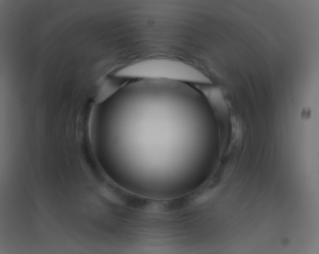 X0000094920080200712131524