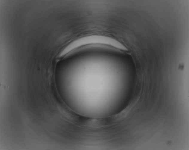 X0000094920082200712131524