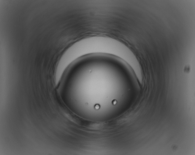 X0000094920084200712131524