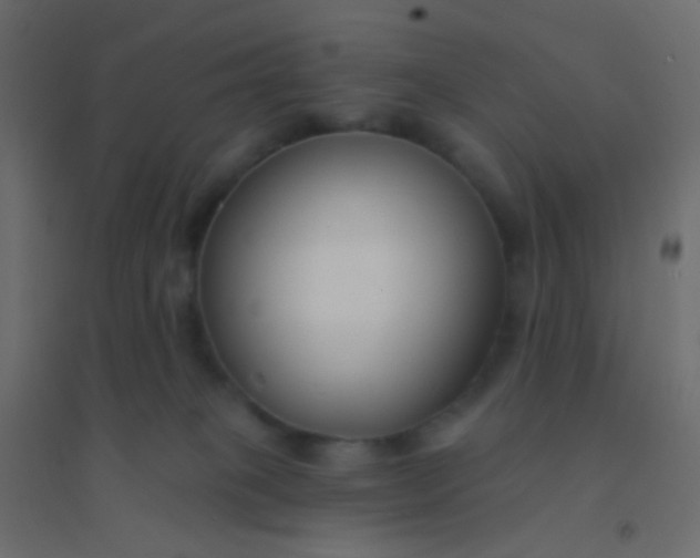 X0000094920085200712131524