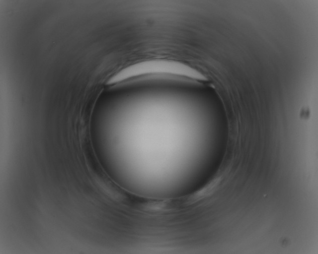 X0000094920086200712131524