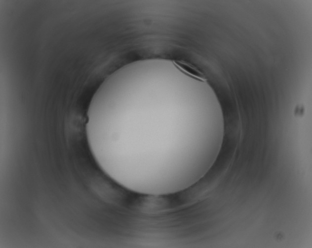 X0000094920087200712131524