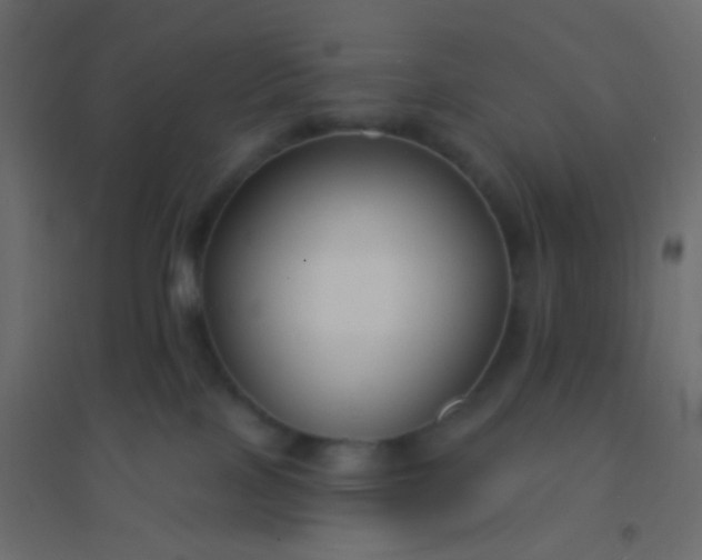 X0000094920089200712131524