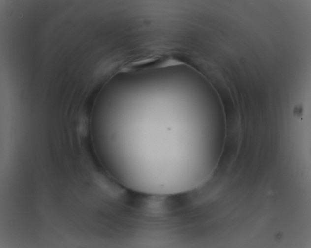 X0000094920090200712131524