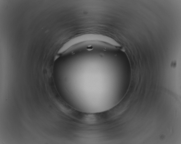 X0000094920091200712131524