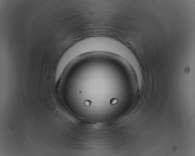 X0000094920092200712131524