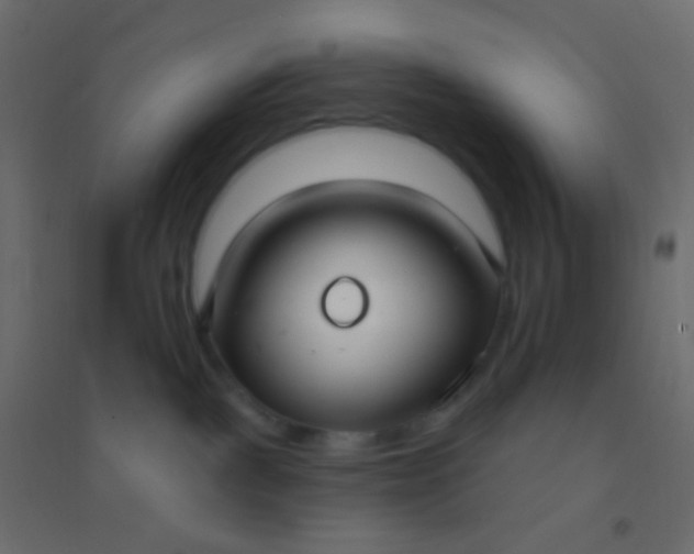 X0000094920093200712131524