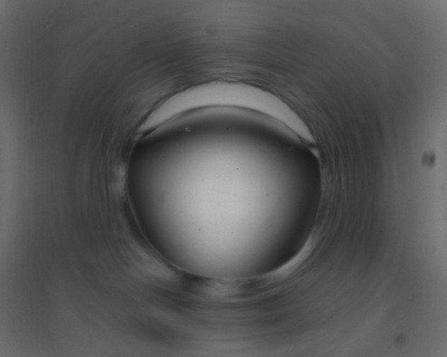 X0000094920094200712131524