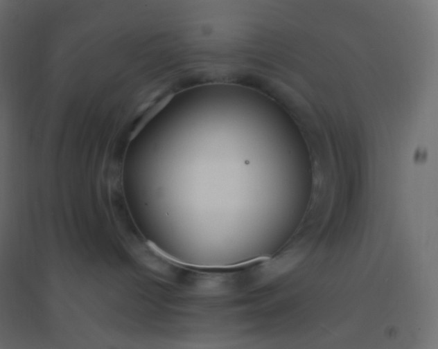 X0000094920096200712131524