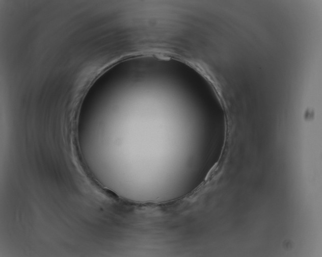 X0000094920097200712131523