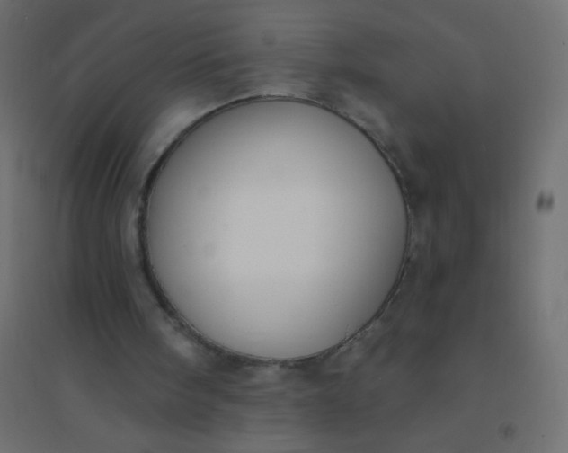 X0000094920098200712131523