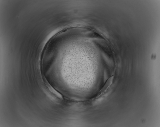 X0000094920100200712131523