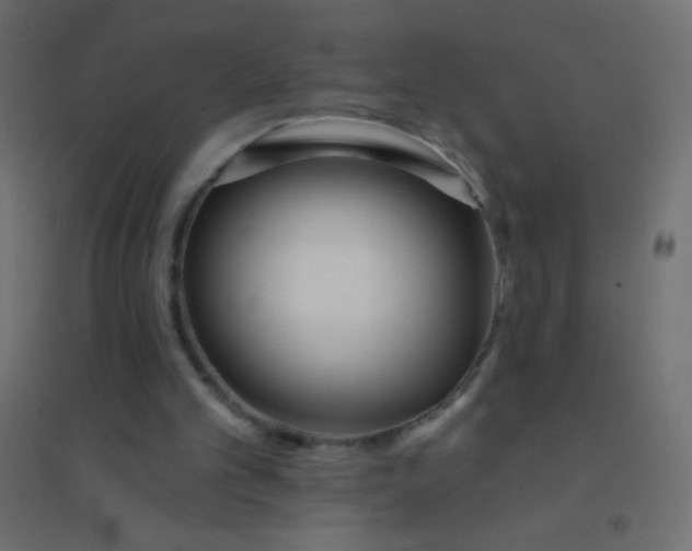 X0000094920101200712131523