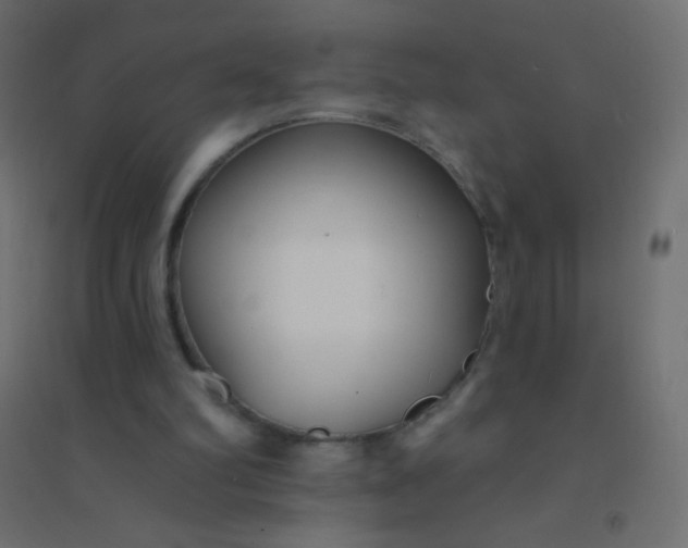 X0000094920102200712131523