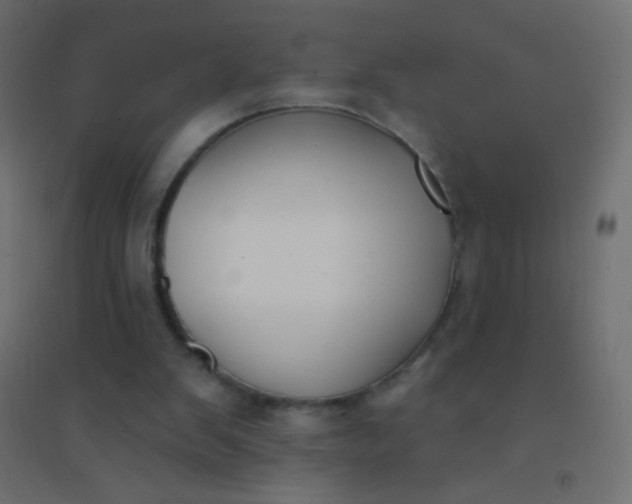 X0000094920103200712131523