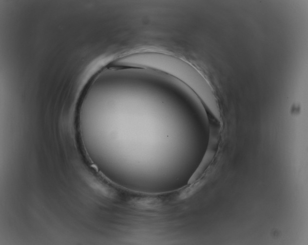 X0000094920104200712131523