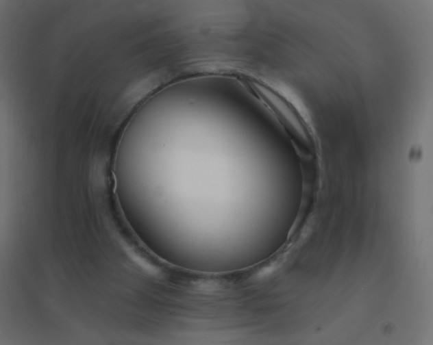 X0000094920105200712131523