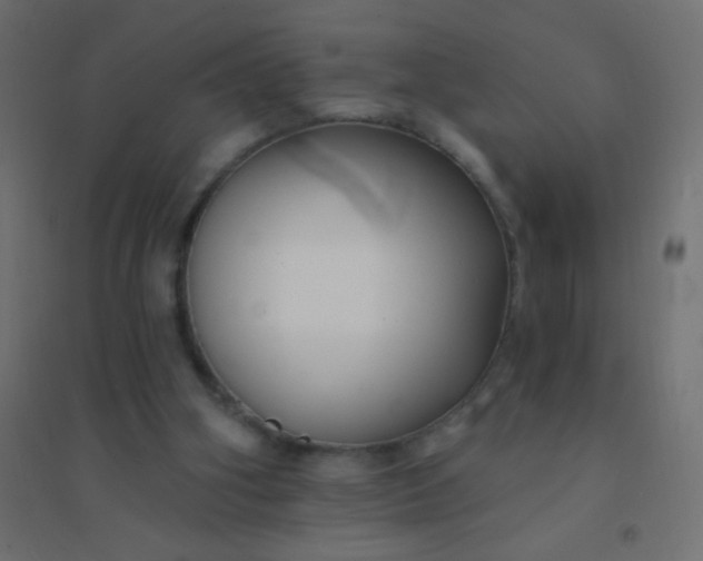 X0000094920106200712131523