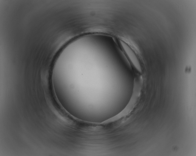 X0000094920108200712131523